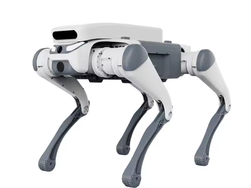 스턴트 원격 조종 교육용 장난감 지능형 급식기 터치 센 - Educational Toys 리뷰 및 가격